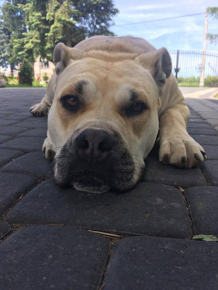 Milusia Was wszystkich pozdrawia 